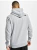 The North Face The North Face Kapuzenpullover in light grey heather