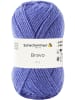 Schachenmayr since 1822 Handstrickgarne Bravo, 50g in Aster