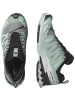 SALOMON Trailrunning-Schuh XA PRO 3D V9 GORE-TEX in quiet shade/lily pad/blue haze