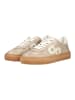 Pavement Sneaker KOHIA CROCO in Beige