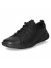 Josef Seibel Schnürhalbschuh in schwarz