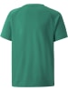 Puma Sportshirt "TeamLIGA Striped Jersey Jr" in Grün