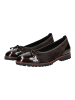 Gabor Ballerinas in Chocolate
