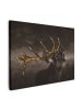 MuchoWow Leinwand bilder Hirsch (BxH)