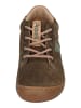 KOEL Sneaker Low BLAKE SUEDE in braun