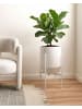 Beliani Indoor Blumentopf HYBRIDUM in Weiß - (W) 33 x (H) 62 x (L) 33 cm
