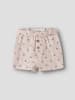 name it Shorts in Cloud Dancer
