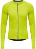 Newline Jacke Mens Core Herren in EVENING PRIMROSE