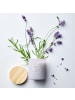 Butlers Duftkerze HOME & SOUL Velvet Dreams in Violett