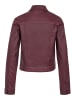 Noisy may Jacke in Fig1