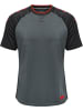 Hummel Hummel T-Shirt Hmlpro Multisport Herren Schnelltrocknend in QUIET SHADE/FORGED IRON