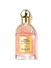 Guerlain Eau de Parfum Aqua Allegoria Forte Rosa Palissandro 75 ml