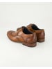 Daniel Kenneth Klassische Schnürschuhe in Braun