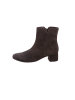 Gabor Stiefeletten für Damen in dunkel-braun