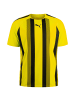 Puma Fußballtrikot TeamLIGA Striped in gelb / schwarz