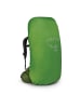 Osprey Aether 55 L/XL - Trekkingrucksack 78 cm (acorn red) in garlic mustard green