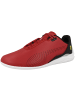 Puma Sneaker low Ferrari Drift Cat Decima in rot