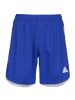 adidas Performance Trainingsshorts Condivo 20 in blau / weiß