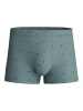 Calida New Boxer in laurel green