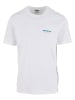Dickies Dickies T-Shirts in white