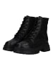 Steve Madden Stiefelette in Schwarz Kombi