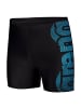 Arena Swim Mid Jammer Graphic in Schwarz