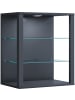 VCM  Holz Glas Stand Vitrine Sammelvitrine Glasol SW in Anthrazit