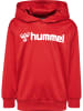 Hummel Hummel Kapuzenpullover Hmllogo Kinder in TRUE RED