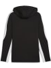 Puma Jacke "TeamEVOSTRIPE Hooded Jacket" in Schwarz