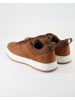 Timberland Sneaker in Braun