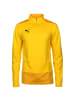 Puma Trainingspullover teamGOAL 23 in gelb / dunkelgelb