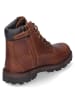 Timberland Winterboots COURMA KID  in Braun