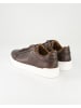 La Martina Sneaker low in Braun
