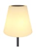 Globo lighting Solarleuchte "SOLARLEUCHTE METALL black, 1XLED" in black