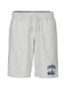 Franklin & Marshall Baumwollshorts in grau