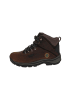 Timberland Schnürboots in Braun