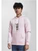  Cayler & Sons Sweat & Fleece - Hoody in pale pink/mc
