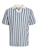 JACK & JONES PLUS Poloshirt in Sea Pearl 1