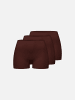 Erlich Textil  Erlich Textil 3 PACK MIT OFFENEN KANTEN Panty CASUAL COTTON PANTY IM 3er PACK in umbra