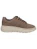 Caprice Sneaker in MUD NUBUC