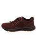 Ecco Lowtop-Sneaker Terracruise II in fig/fig