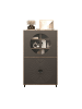 ebuy24 Vitrinenschrank Fusion Bronze 97 x 42 cm