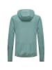 Salewa Kapuzensweat PEDROC WIND HD LIGHT JKT M in Oliv101