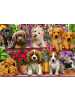 Schmidt Spiele Hunde im Regal (Puzzle)