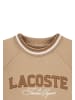 Lacoste Sweatshirt in hellbraun