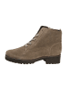 Gabor Schnürstiefeletten in Beige