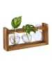 relaxdays Reagenzglas Vase "Rund" in Klar/ Natur