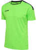 Hummel Trikot S/S Hmlauthentic Poly Jersey S/S in GREEN GECKO