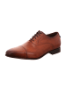 Floris van Bommel Elegante Schnürschuhe in Braun