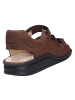 Finn Comfort Sandale TUNIS in braun
